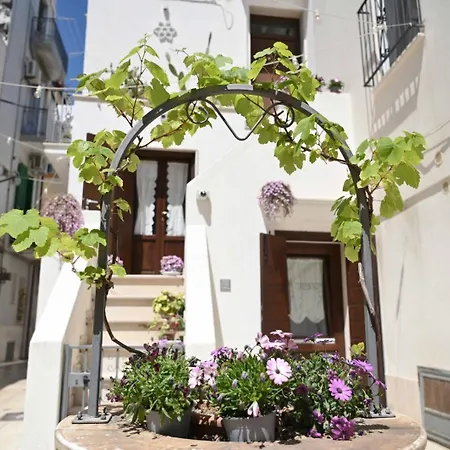 Il Riparo Via Molino 5 Appartement